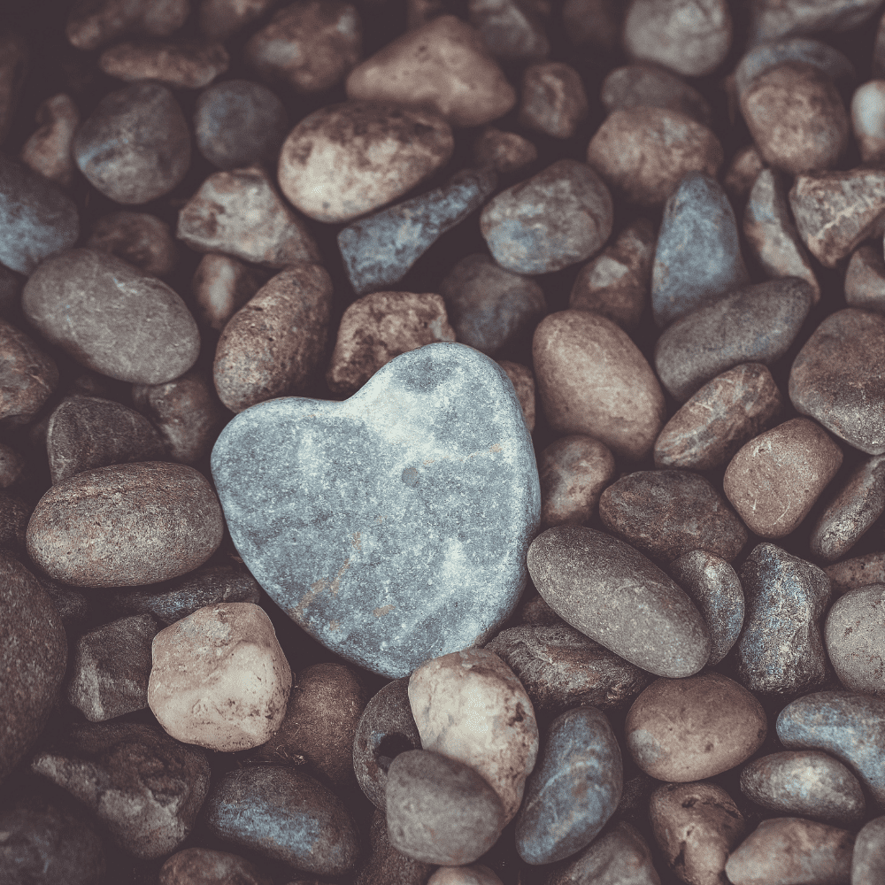Learn about the risk factors and prevention strategies for heart disease. Discover the common misconceptions and the facts behind it.