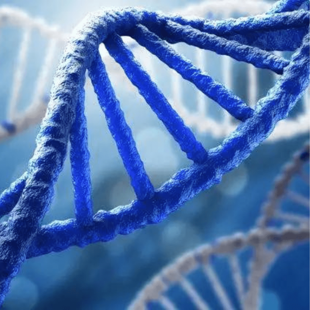 Take control of your diet with the DNA Based Diet. Learn how genetic testing can help you make informed choices about what to eat.