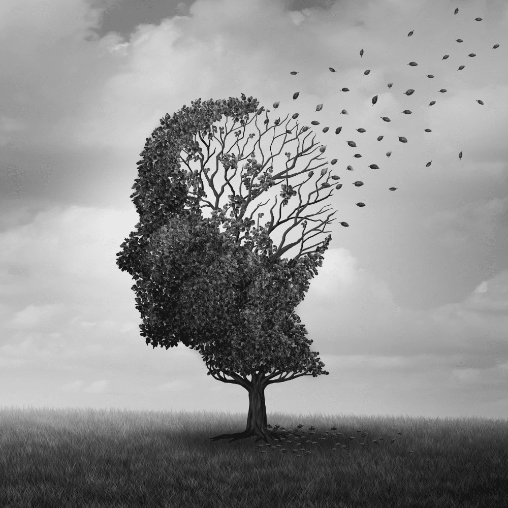 Protect your brain health and prevent Alzheimer's disease with practical tips and habits for a healthier mind.