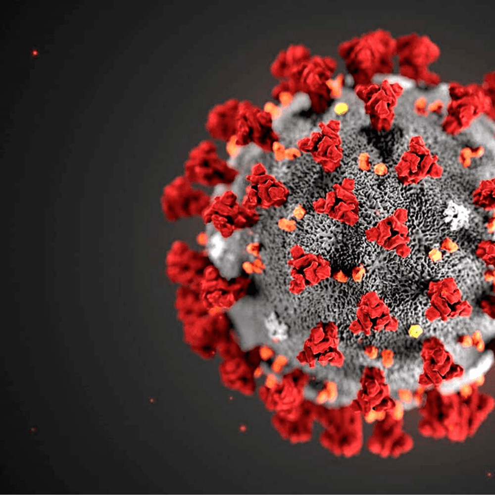 For weeks, the global outbreak of the new coronavirus also known as COVID-19 has dominated the news. Follow the facts here