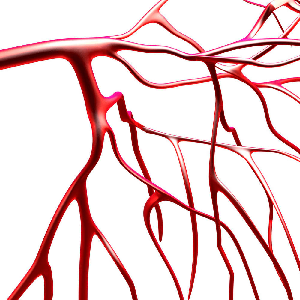 Covid-19 may have more to do with your blood-vessels than seen at first glance. Read more for what this means for future treatment