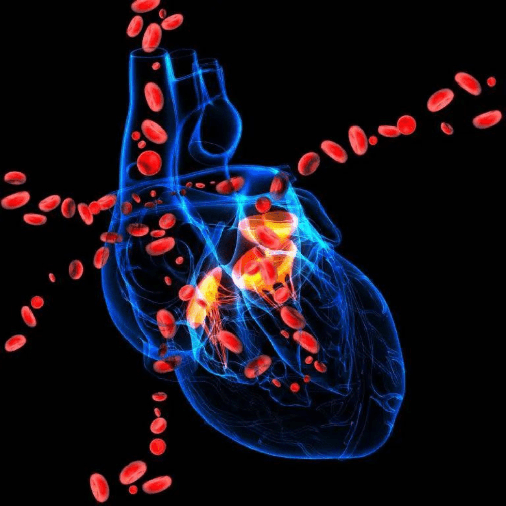 Take control of your heart health and lower your heart attack risk. Explore effective strategies to prevent heart disease and maintain a healthy heart.