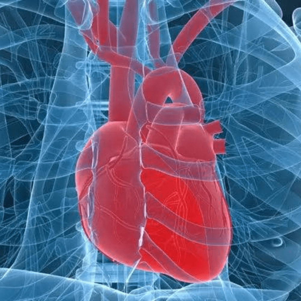 Discover the latest research on cardiovascular disease prevention. Find out how lifestyle changes can lower your risk.