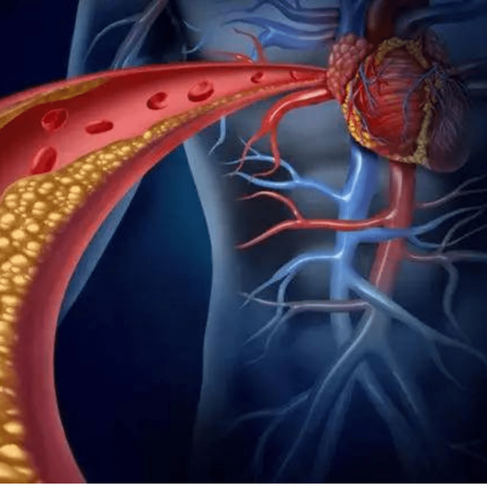 Discover effective ways to stabilize your health and manage diseases. Get expert insights and tips for a healthier lifestyle.