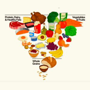 The new Dietary Guidelines for Americans (DGA) includes a new food pyramid.