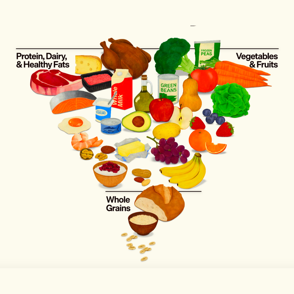 The new Dietary Guidelines for Americans (DGA) includes a new food pyramid.