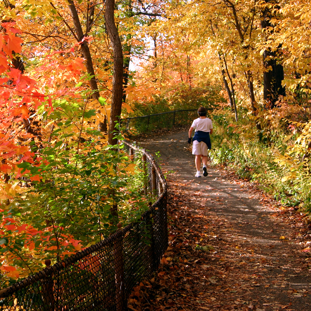Fall is a wonderful time of year for a walk in the park or the woods.